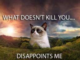 Grumpy Cat - what doesn't kill you, disappoints me.