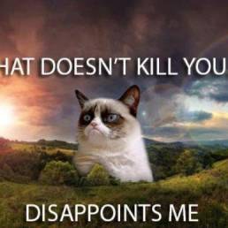 Grumpy Cat - what doesn't kill you, disappoints me.